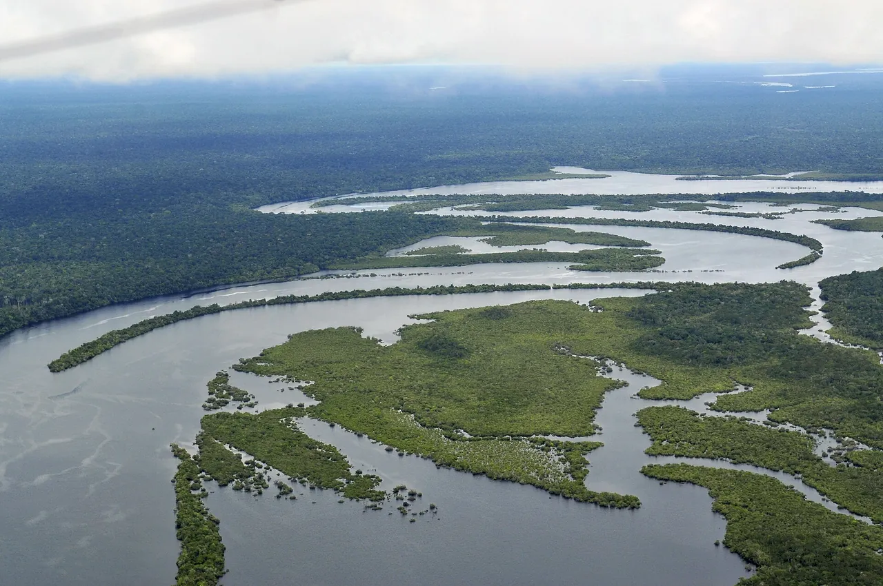 Amazon (BR)